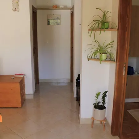 Holiday Pavica K 度假居 *